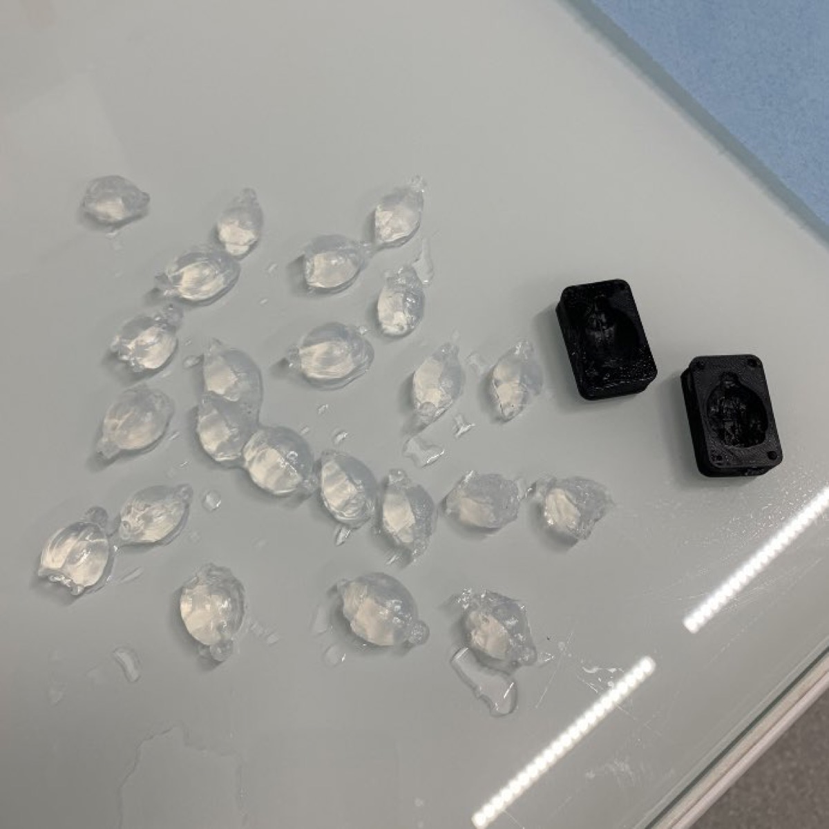 Agarose brains
